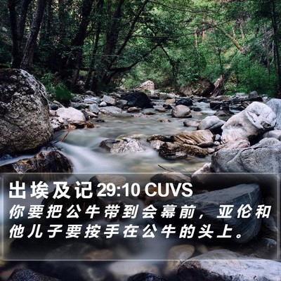出 埃 及 记 29:10 CUVS Bible Verse Image