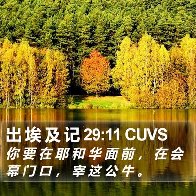 出 埃 及 记 29:11 CUVS Bible Verse Image