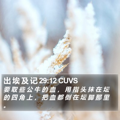 出 埃 及 记 29:12 CUVS Bible Verse Image