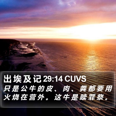 出 埃 及 记 29:14 CUVS Bible Verse Image