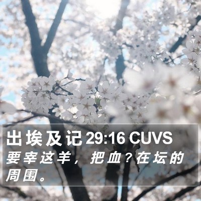 出 埃 及 记 29:16 CUVS Bible Verse Image