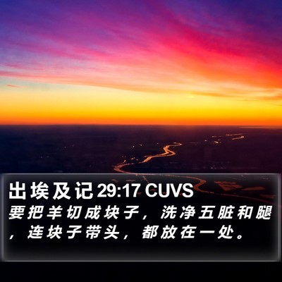 出 埃 及 记 29:17 CUVS Bible Verse Image