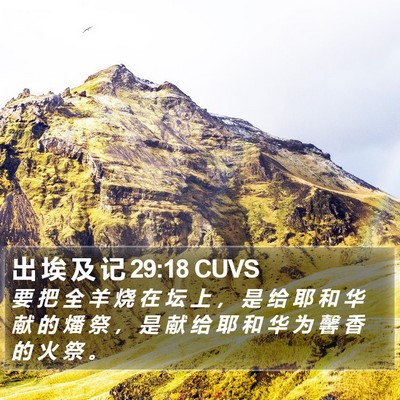 出 埃 及 记 29:18 CUVS Bible Verse Image
