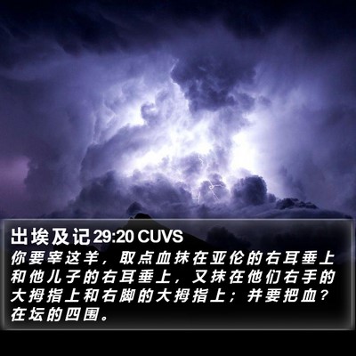出 埃 及 记 29:20 CUVS Bible Verse Image