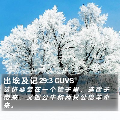出 埃 及 记 29:3 CUVS Bible Verse Image