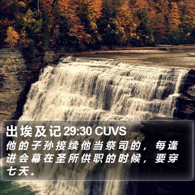 出 埃 及 记 29:30 CUVS Bible Verse Image