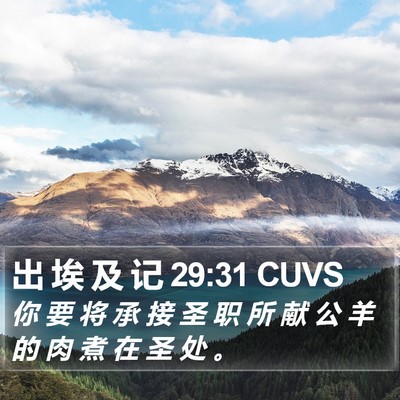 出 埃 及 记 29:31 CUVS Bible Verse Image