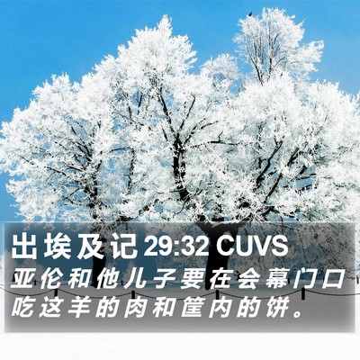 出 埃 及 记 29:32 CUVS Bible Verse Image