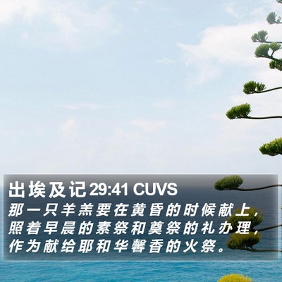 出 埃 及 记 29:41 CUVS Bible Verse Image