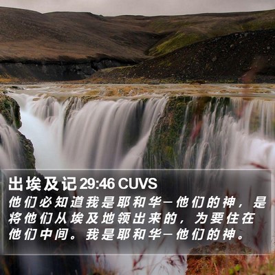 出 埃 及 记 29:46 CUVS Bible Verse Image
