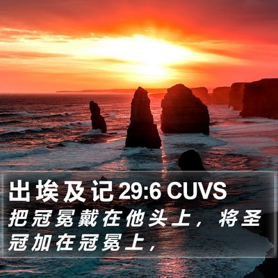 出 埃 及 记 29:6 CUVS Bible Verse Image
