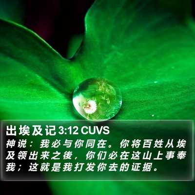 出 埃 及 记 3:12 CUVS Bible Verse Image