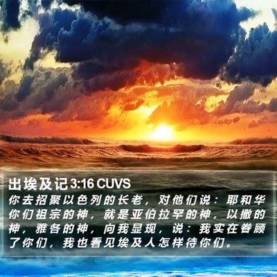 出 埃 及 记 3:16 CUVS Bible Verse Image