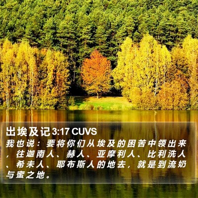 出 埃 及 记 3:17 CUVS Bible Verse Image