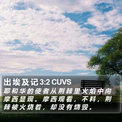 出 埃 及 记 3:2 CUVS Bible Verse Image