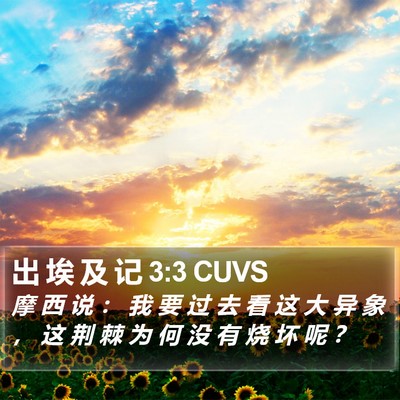 出 埃 及 记 3:3 CUVS Bible Verse Image