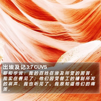 出 埃 及 记 3:7 CUVS Bible Verse Image