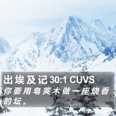 出 埃 及 记 30:1 CUVS Bible Verse Image