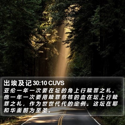 出 埃 及 记 30:10 CUVS Bible Verse Image