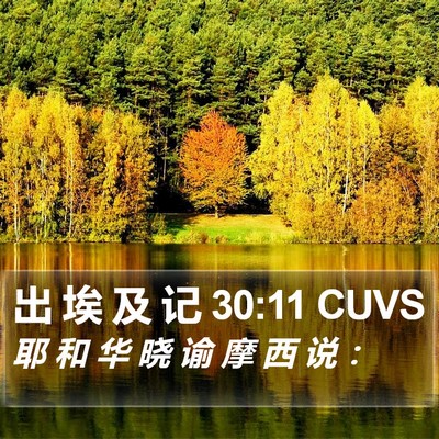出 埃 及 记 30:11 CUVS Bible Verse Image