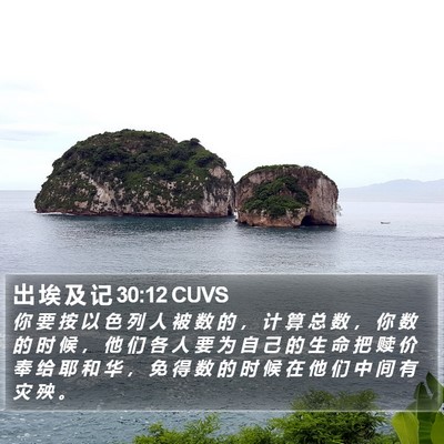 出 埃 及 记 30:12 CUVS Bible Verse Image