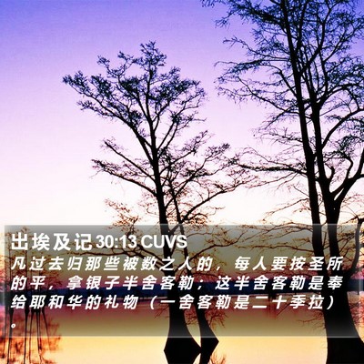 出 埃 及 记 30:13 CUVS Bible Verse Image