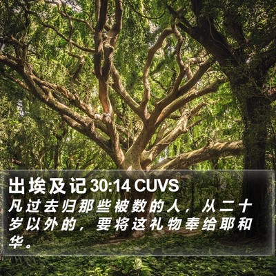出 埃 及 记 30:14 CUVS Bible Verse Image