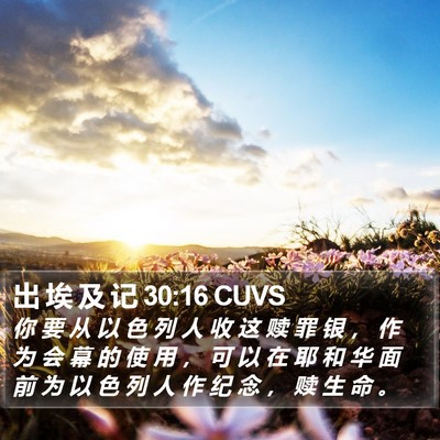 出 埃 及 记 30:16 CUVS Bible Verse Image