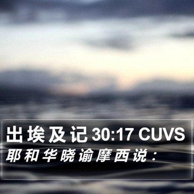 出 埃 及 记 30:17 CUVS Bible Verse Image