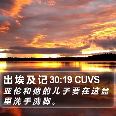 出 埃 及 记 30:19 CUVS Bible Verse Image