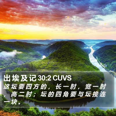 出 埃 及 记 30:2 CUVS Bible Verse Image