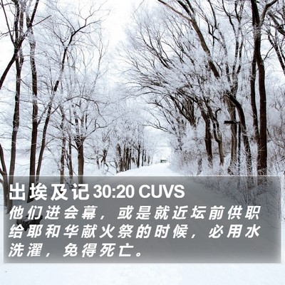 出 埃 及 记 30:20 CUVS Bible Verse Image