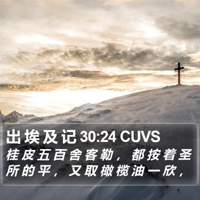 出 埃 及 记 30:24 CUVS Bible Verse Image