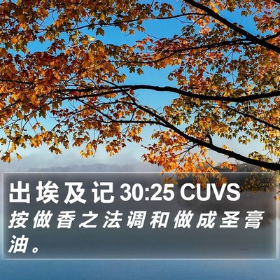 出 埃 及 记 30:25 CUVS Bible Verse Image