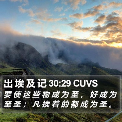 出 埃 及 记 30:29 CUVS Bible Verse Image