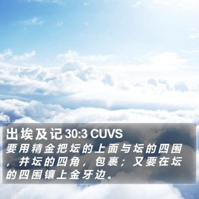 出 埃 及 记 30:3 CUVS Bible Verse Image