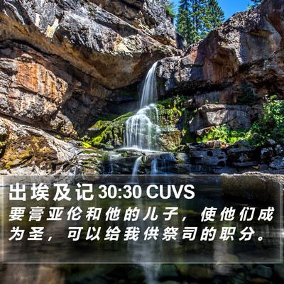 出 埃 及 记 30:30 CUVS Bible Verse Image