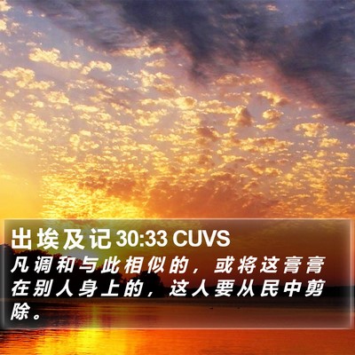 出 埃 及 记 30:33 CUVS Bible Verse Image
