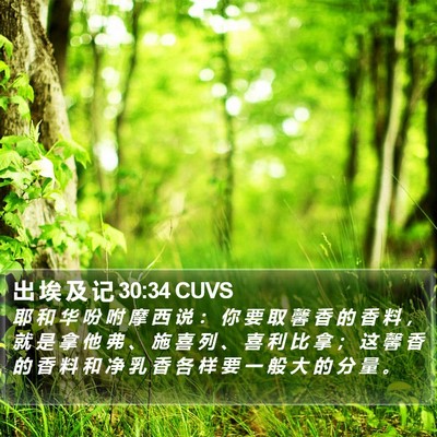 出 埃 及 记 30:34 CUVS Bible Verse Image