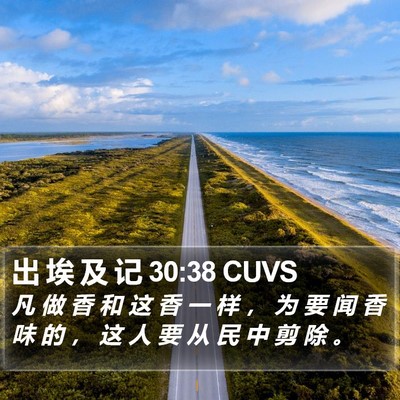 出 埃 及 记 30:38 CUVS Bible Verse Image