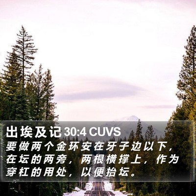 出 埃 及 记 30:4 CUVS Bible Verse Image