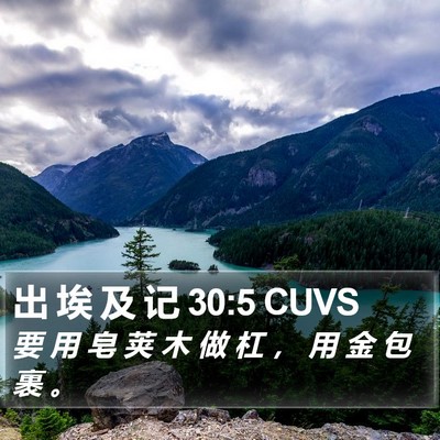 出 埃 及 记 30:5 CUVS Bible Verse Image