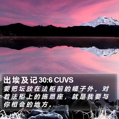 出 埃 及 记 30:6 CUVS Bible Verse Image