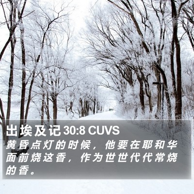 出 埃 及 记 30:8 CUVS Bible Verse Image