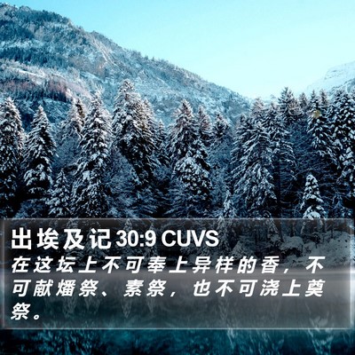 出 埃 及 记 30:9 CUVS Bible Verse Image