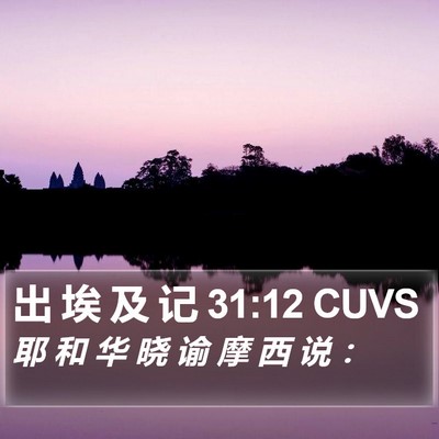 出 埃 及 记 31:12 CUVS Bible Verse Image