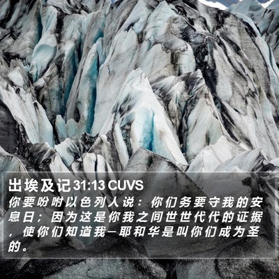 出 埃 及 记 31:13 CUVS Bible Verse Image