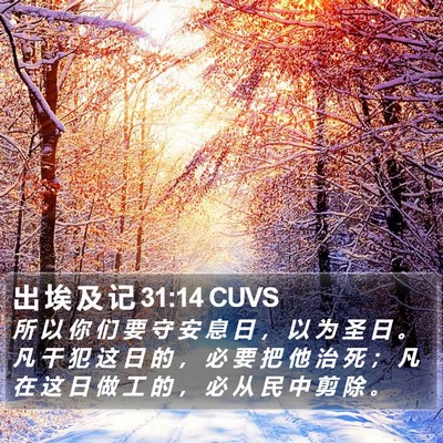 出 埃 及 记 31:14 CUVS Bible Verse Image
