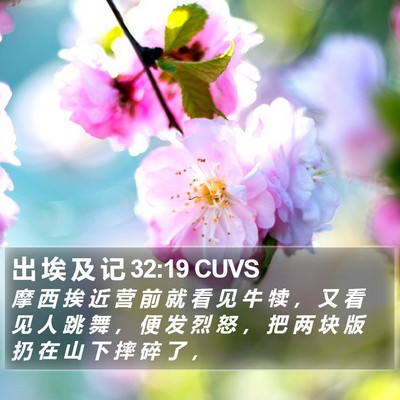 出 埃 及 记 32:19 CUVS Bible Verse Image