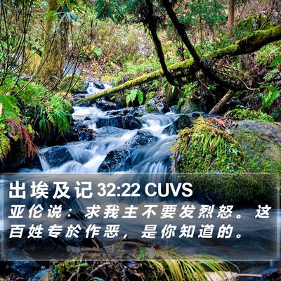 出 埃 及 记 32:22 CUVS Bible Verse Image